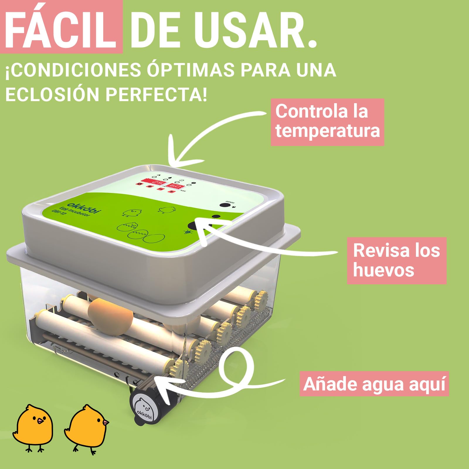 Incubadora Huevos Gallina 12 - Ideal para Todas Las Edades - Incubadoras de Huevos Automaticas - Volteo Automático y Control de Humedad -Ovoscopio Integrado - Okköbi Obi-12 - Blanco Verde
