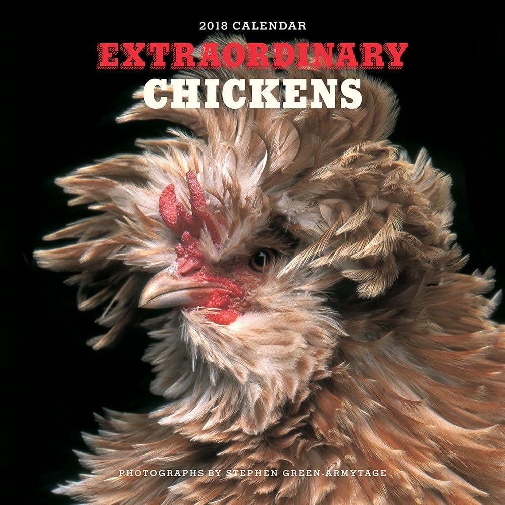 Extraordinary Chickens 2018 Wall Calendar Calendar – Wall Calendar, August 8, 2017