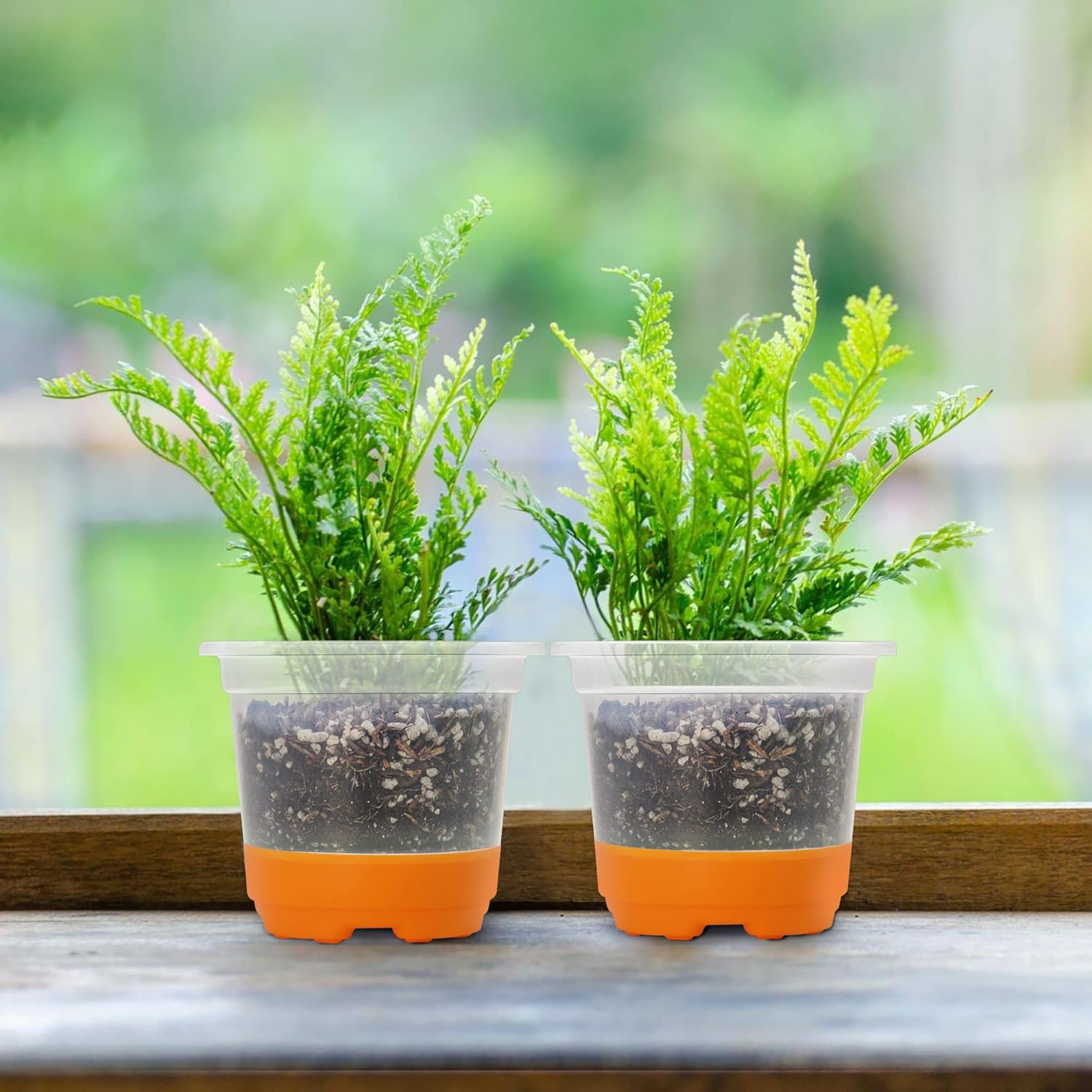 MIXC Thickened Clear Nursery Pots with Silicone Base for Easy Transplant 30 Packs 4 Inch, Transparent Plant Pot Reusable Seedling Pots for Vegetable Propagation, Root Cutting, Seed Starting, Orange - Image 7