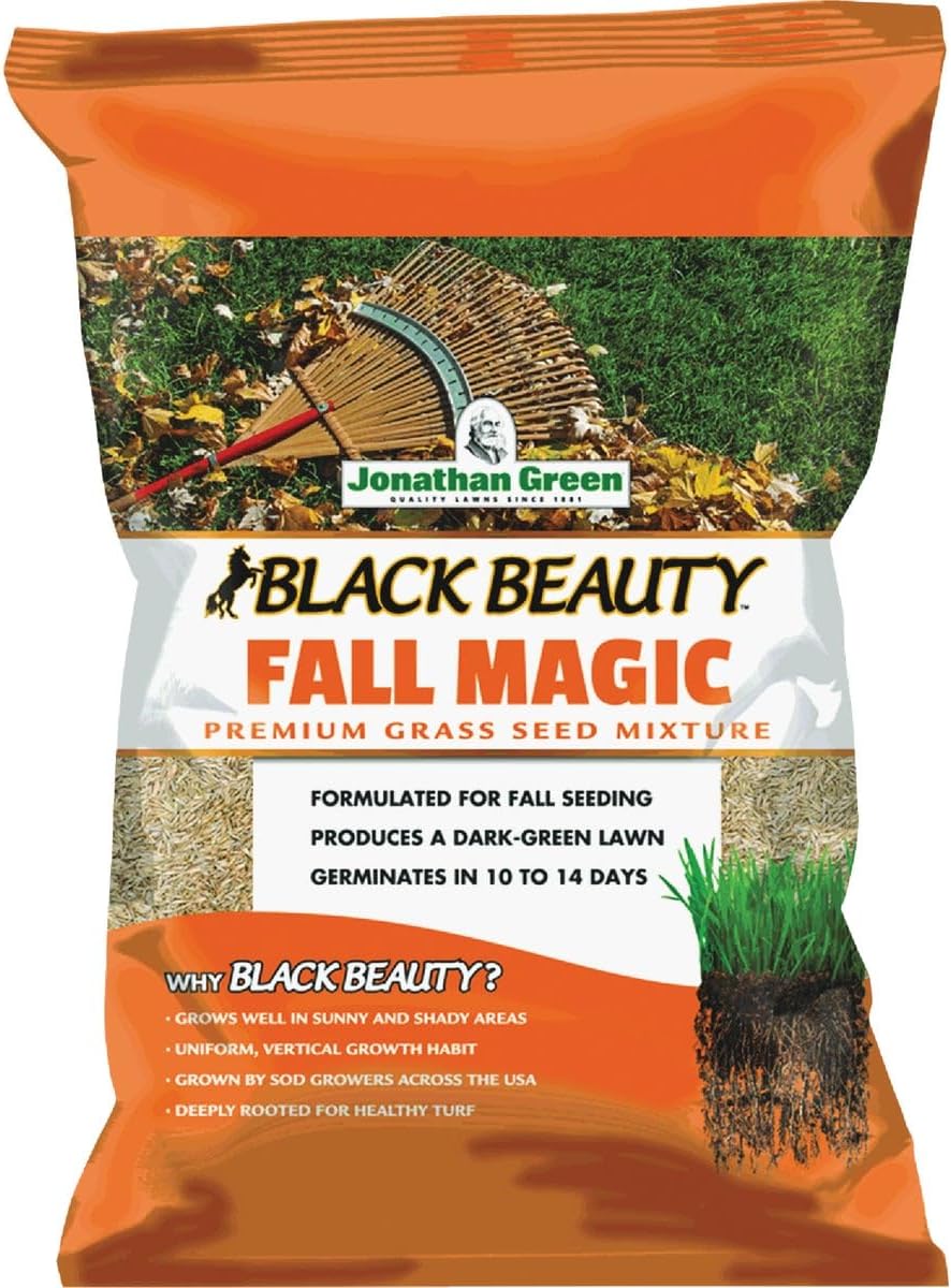 Black Beauty Fall Magic Grass Seed - Cool Season Lawn Seed (25 lb)