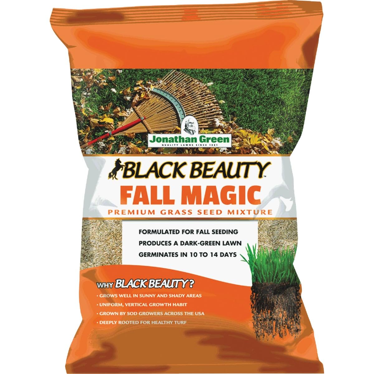 Jonathan Green (10770) Black Beauty Fall Magic Grass Seed - Cool Season Lawn Seed (25 lb)