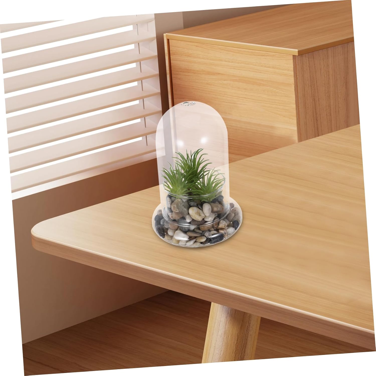 BESPORTBLE 2pcs Ecological Glass Bottle Terrarium for DIY Micro Landscape Miniature Plant Container Home Office Decoration Handmade