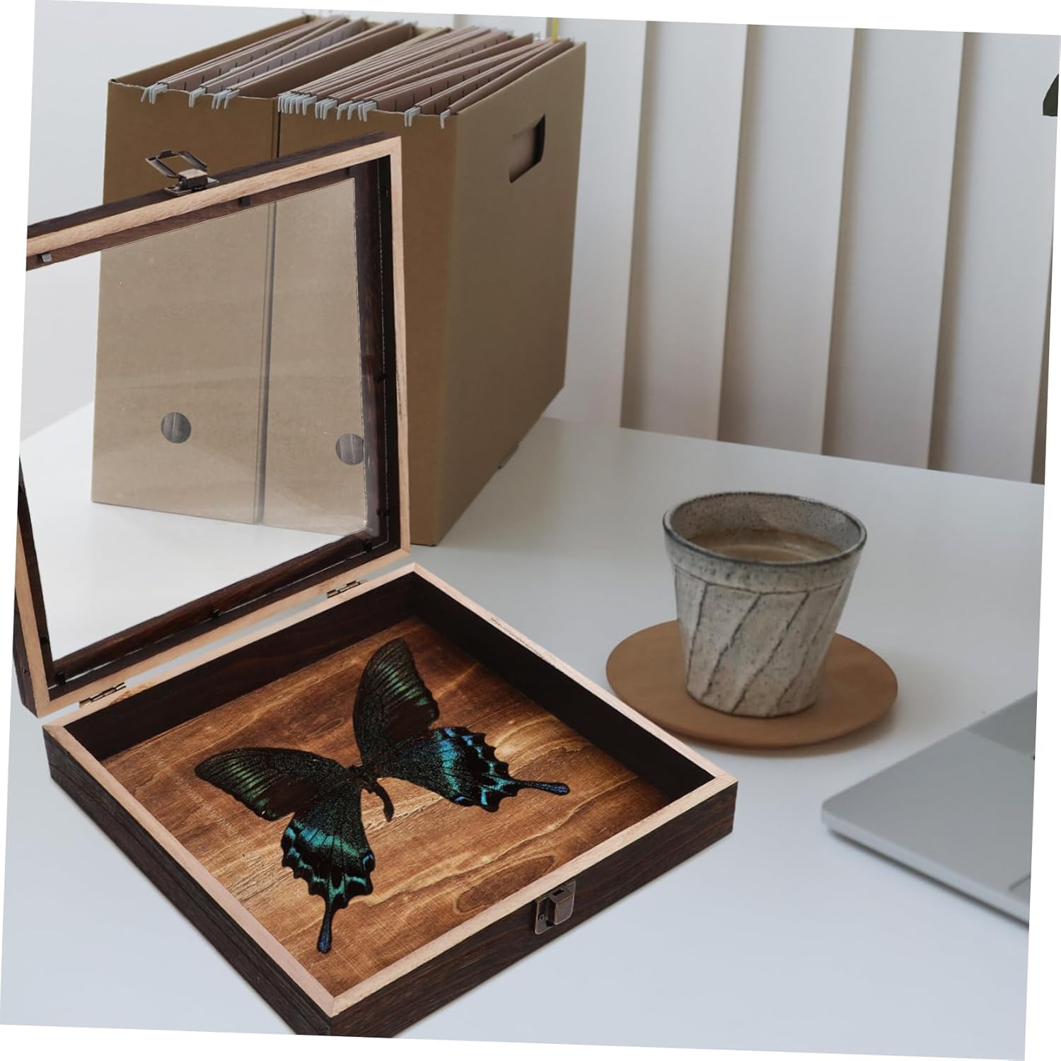 Butterfly Framed Shadow Box Memory Display Case Specimen Storage Display Box for Collectors