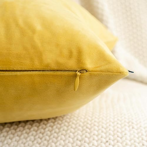 Miniatura 3 de HWY 50 fundas de almohada decorativas de terciopelo sólido para sofá, sala de estar., Terciopelo, Amarillo, 18x18 pulgadass