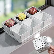 Succulent Pots, Plastic Succulent Planters with Drainage Holes, Square Succulent Seedlings Pot Match Long Rectangular Tray, 6Pcs 4 Inch Pots with 14 x 9.4 inch Tray, Set of 1