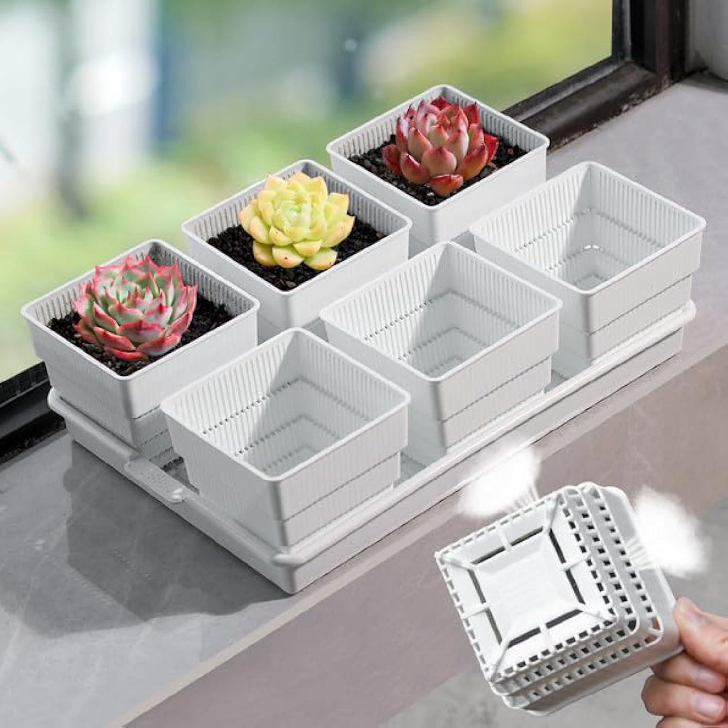 Meshpot 4 Inch Succulent Planters, Set of 6 with 14 x 9.4 inch Tray, Plastic Cactus Pot with Drainage, Square Seedlings Pot Match Long Rectangular