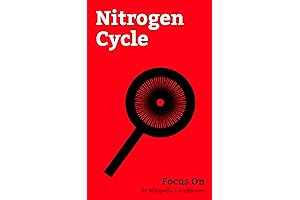 Nitrogen Cycle: Unraveling the Key Concepts