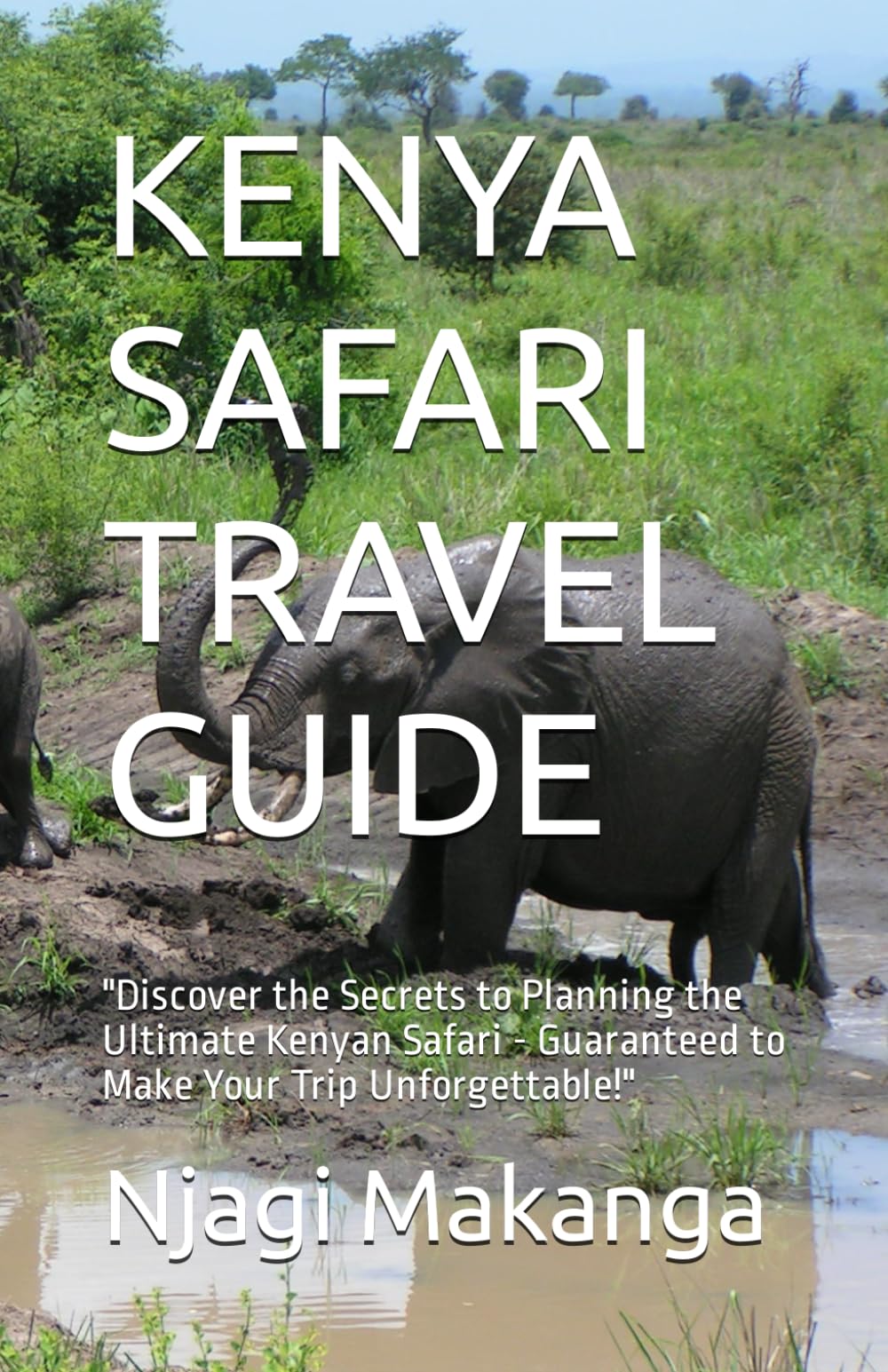 KENYA SAFARI TRAVEL GUIDE: "Discover the Secrets to Planning the Ultimate Kenyan Safari - Guaranteed to Make Your Trip Unforgettable!"