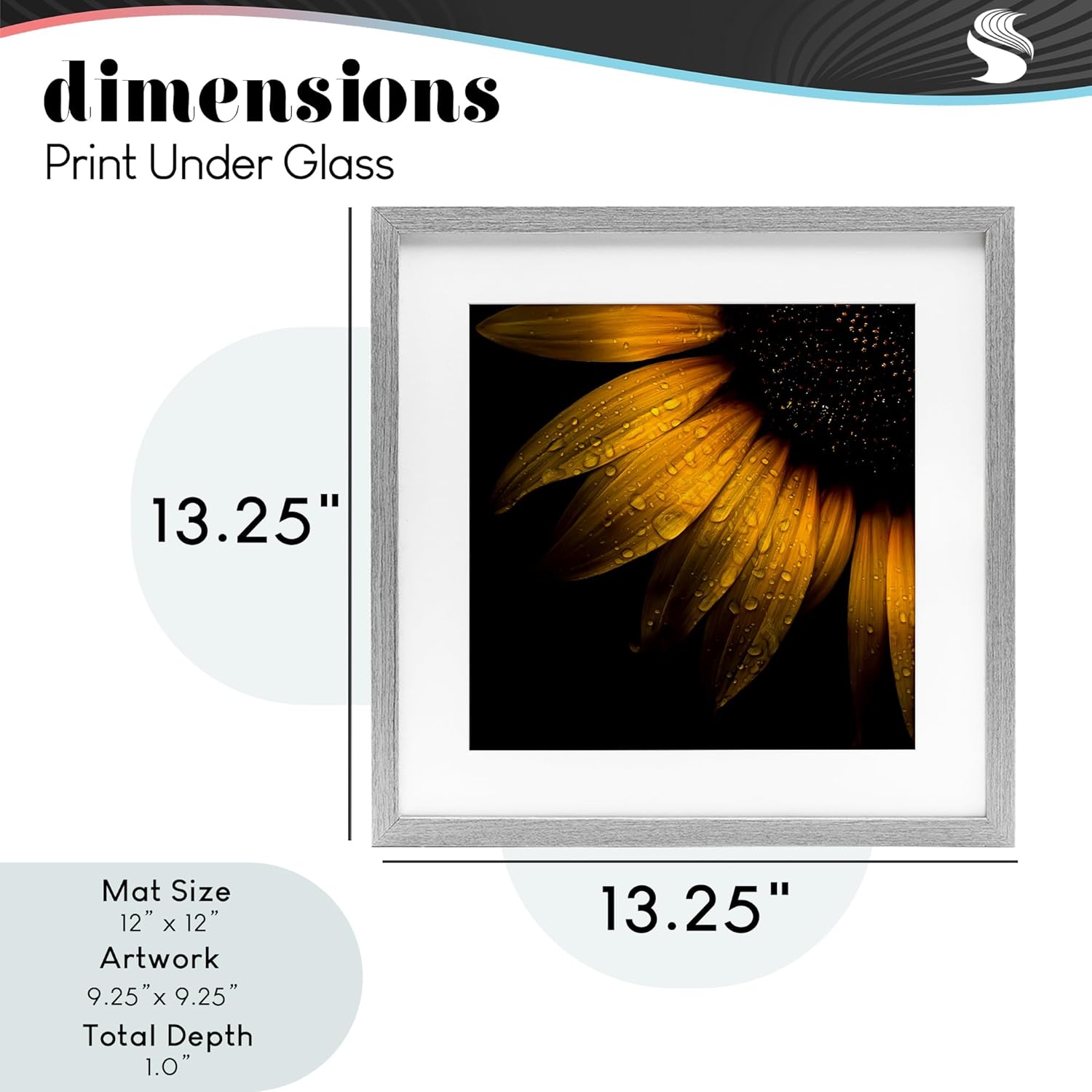 Stupell Industries Sunflower Detail with Droplets Gray Framed Print Under Glass, design by Brian Carson Photography, 13 x 13