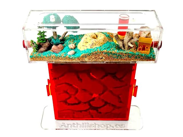 Foto 4 de 8 de ANTHILLSHOP -Hormiguero T 15x15 Novedad más Tapa Roja Doble - con Hormigas Incluidas┃de 20-30 Hormigas