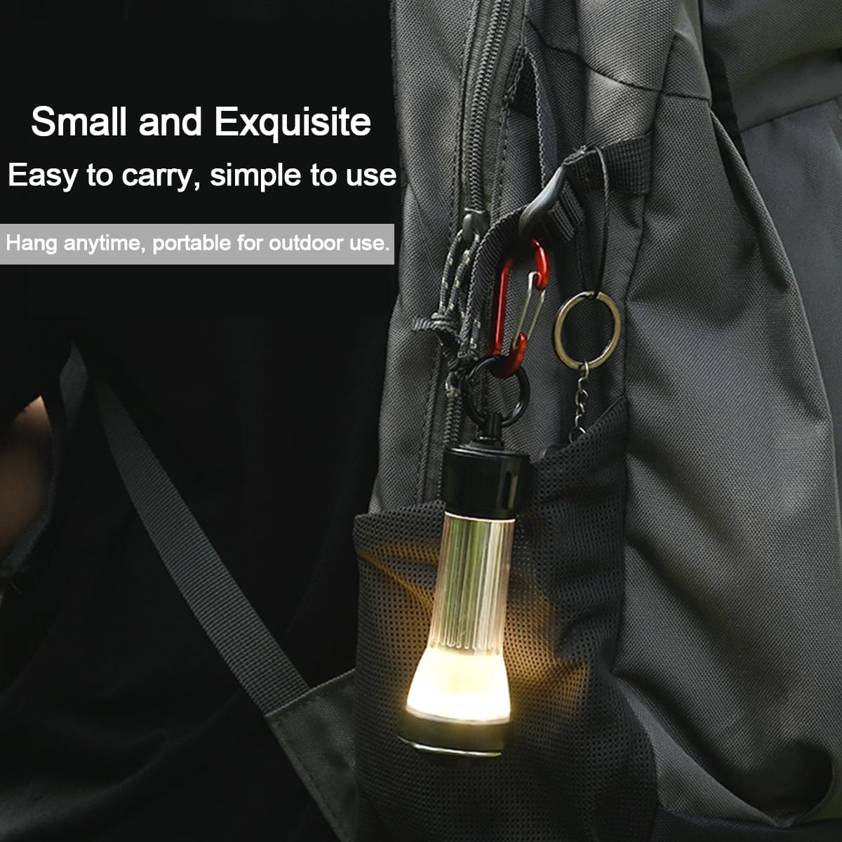 Multi-Use Carabiner Clips, Lightweight Locking Carabiner Clip, S-Type Spring Snap Keychain Hook - Image 5