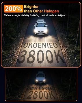 H7 Halogen Headlight Bulbs, 12V 55W, 4000 Lumens, 3800K, No Glare, High Beam, Head Light Bulbs for Car, Fog Light Bulbs,Headlight Bulb Low Beam & High Beam, Pack of 2