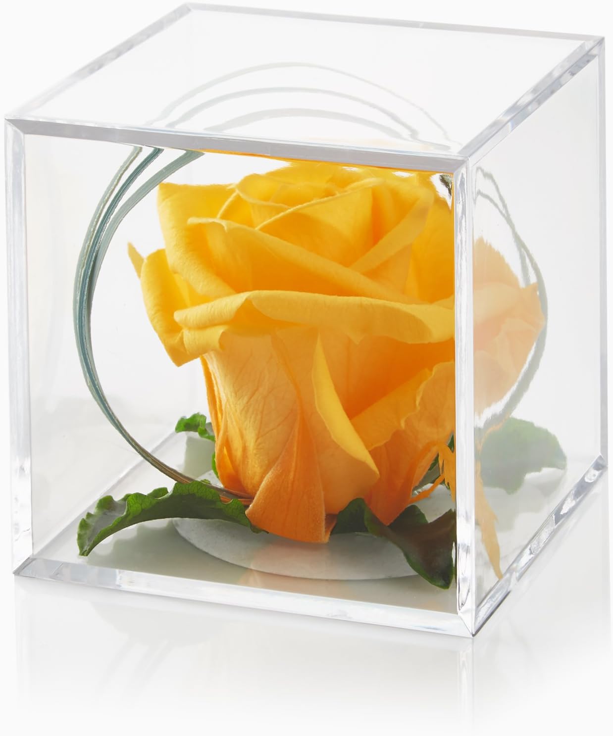 PETALS AND ROSESPreserved Real Rose in Luxury Cube Display Box - Eternal Timeless Rose (Yellow)