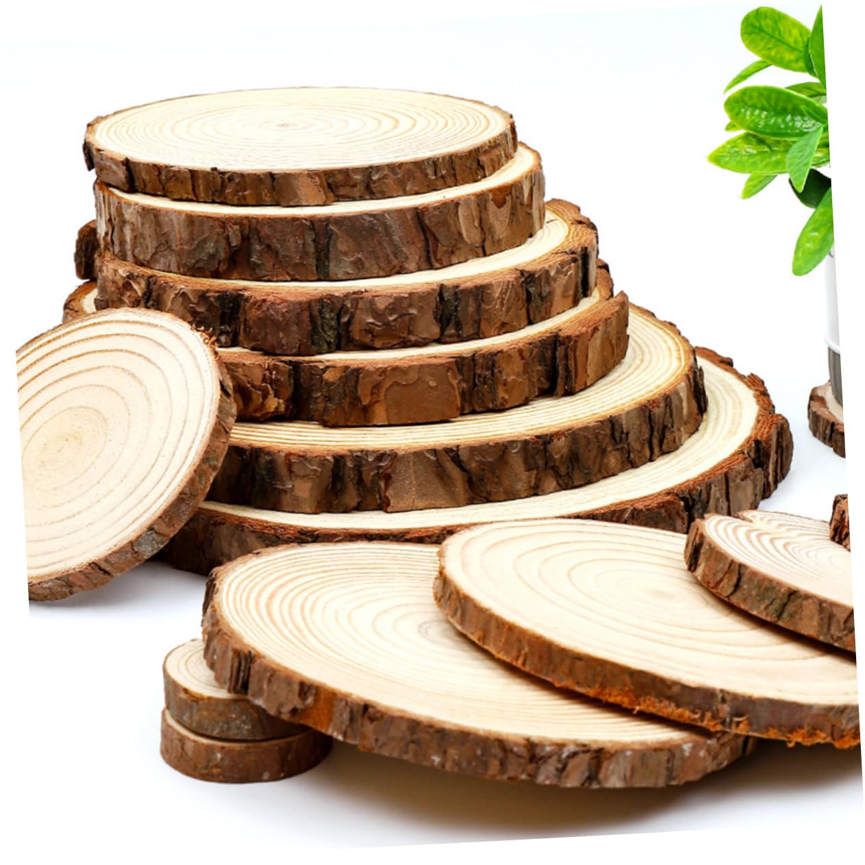 Dischi di Legno Rotondi Non Finiti 5 Pezzi per Pittura DIY