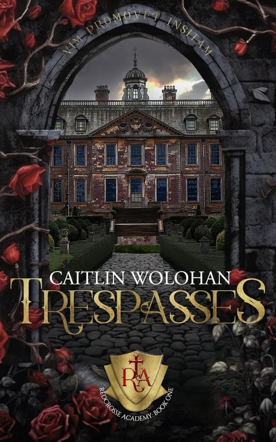 Trespasses: A Paranormal Fae Academy Romance: 1 (Redcrosse Academy)