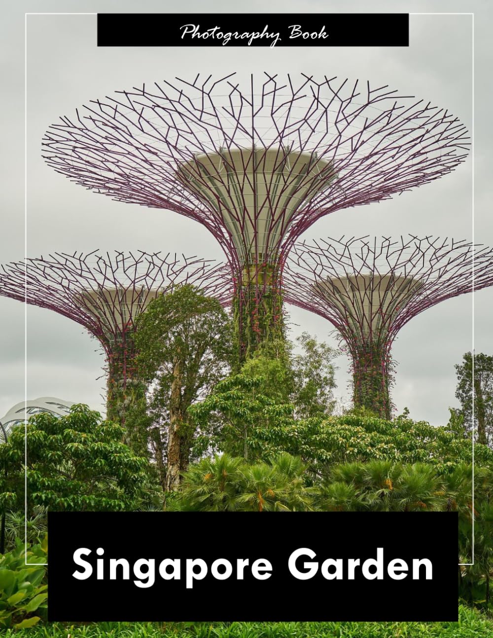 Singapore Garden: A Visual Journey Through the Lion City’s Lush Heart — Stunning Photography of Tropical Greenery, Futuristic Supertrees, and Serene Water Gardens