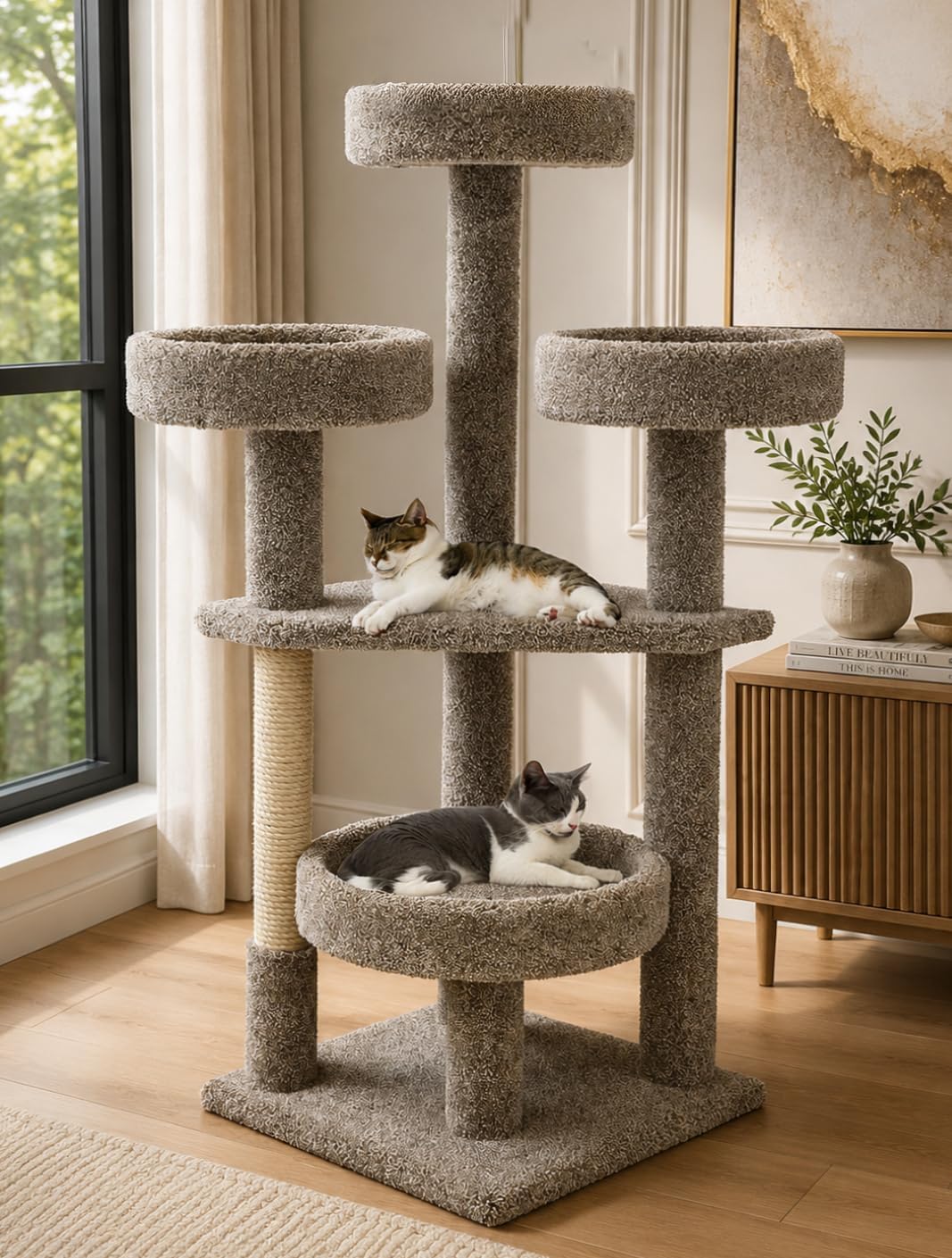 Main Coon Cat Tower Cat Tree