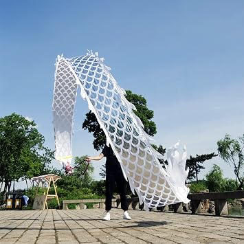 Square Exercise Dance Dragon Ribbon Streamer with Wu Long 3D Real-Like Dragon Head and Swing Rope Outdoor Flinging Fitness Dragon Poi Set