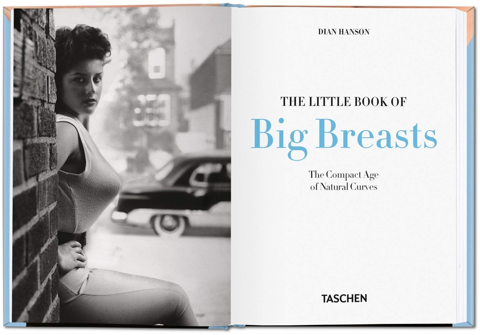 PO-LITTLE BOOK OF BIG BREASTS