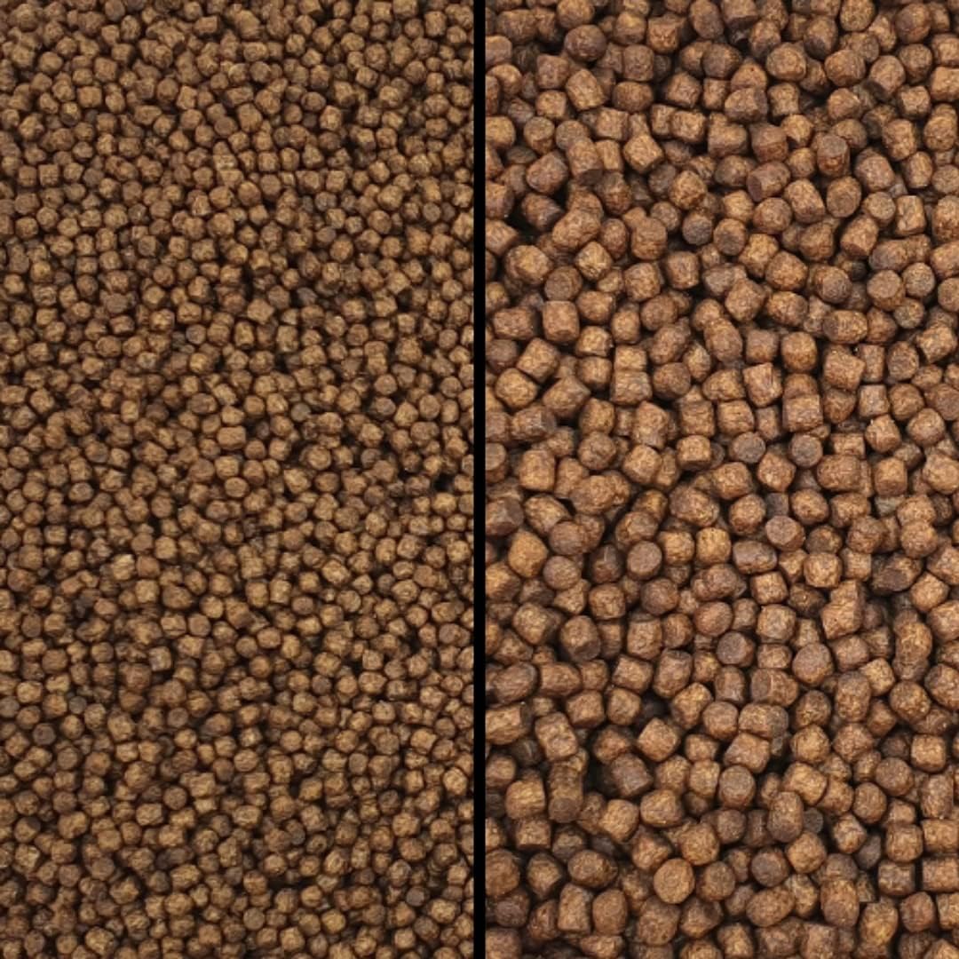 Koi Growth Pellets Floating - Pond Fish Food Carp Goldfish Coldwater Chub Grower (Small Pellet Size (3mm), 1kg)