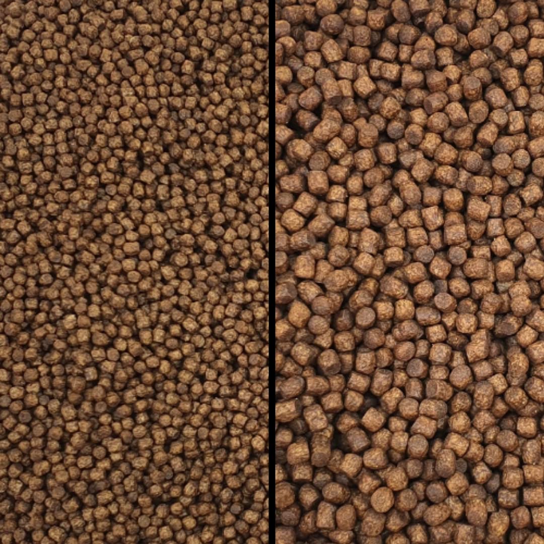 Koi Growth Pellets Floating - Pond Fish Food Carp Goldfish Coldwater Chub Grower (Small Pellet Size (3mm), 250g)