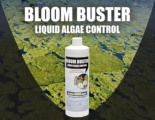 Miniatura 9 de Bloom Buster Pond Control de algas – 16 oz – Algicida de acción rápida, uso en fuentes y estanques al aire libre que contienen koi y otros peces –