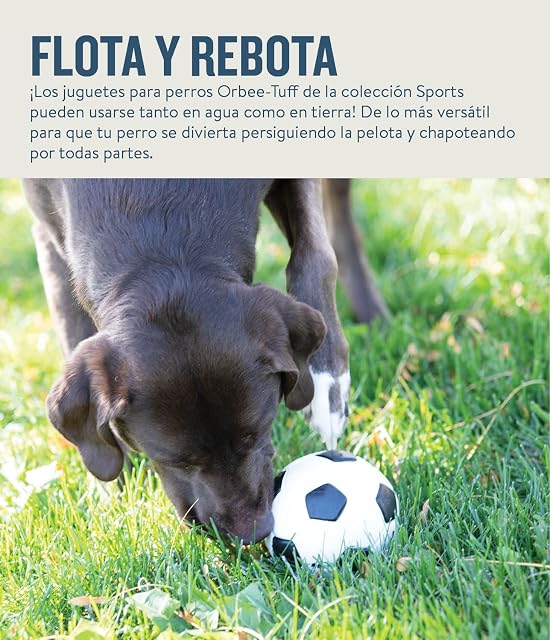 Foto 7 de 8 de Planet Dog Orbee-Tuff - Juguete con dispensador de recompensas para perros - Pelota de fútbol