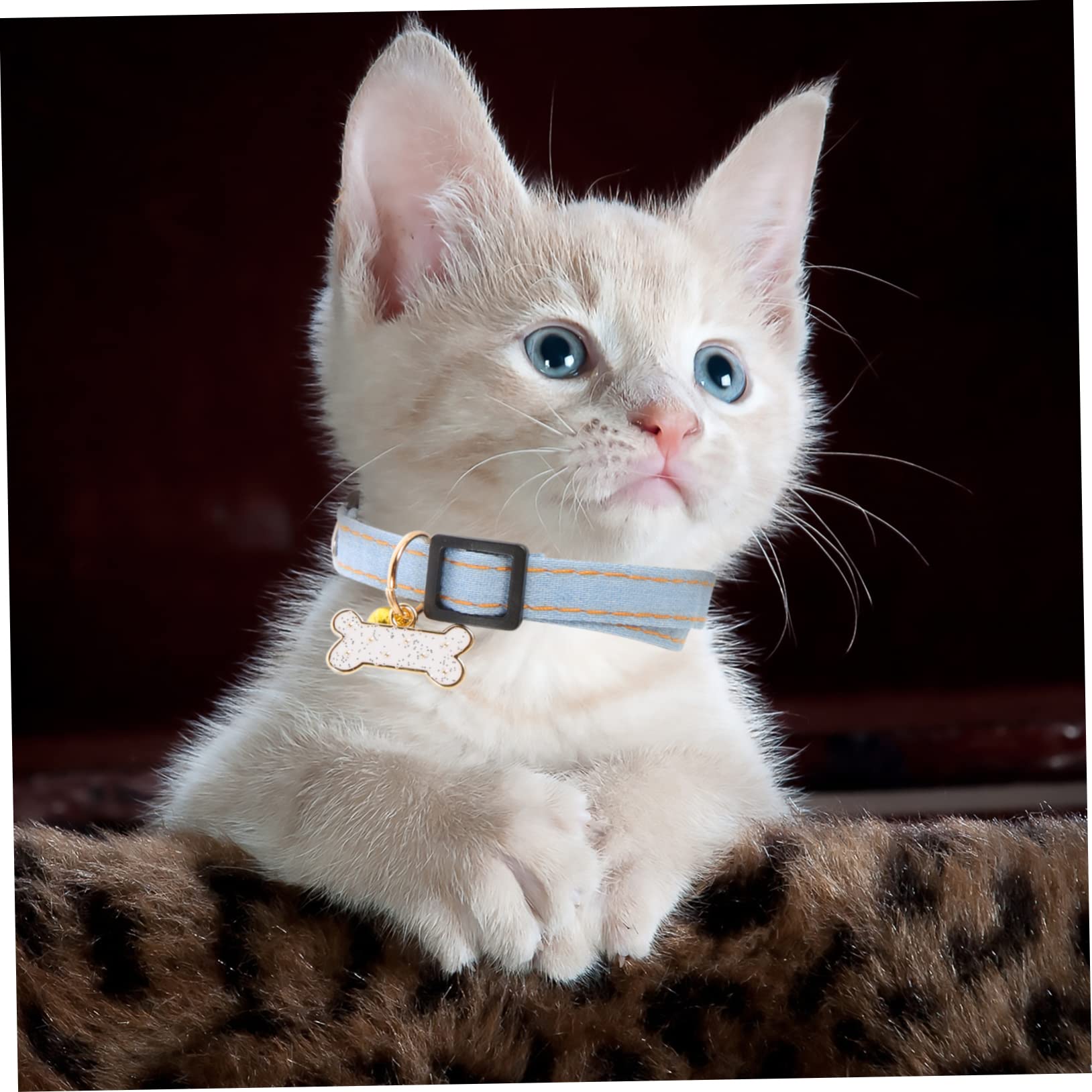 VANZACK 12pièces Collier Adorable pour Chat avec Clochette Accessoire Amusant pour Chats Et Petits Animaux Réglable Et Sécurisé pour Événements Festifs Et Activités Quotidiennes