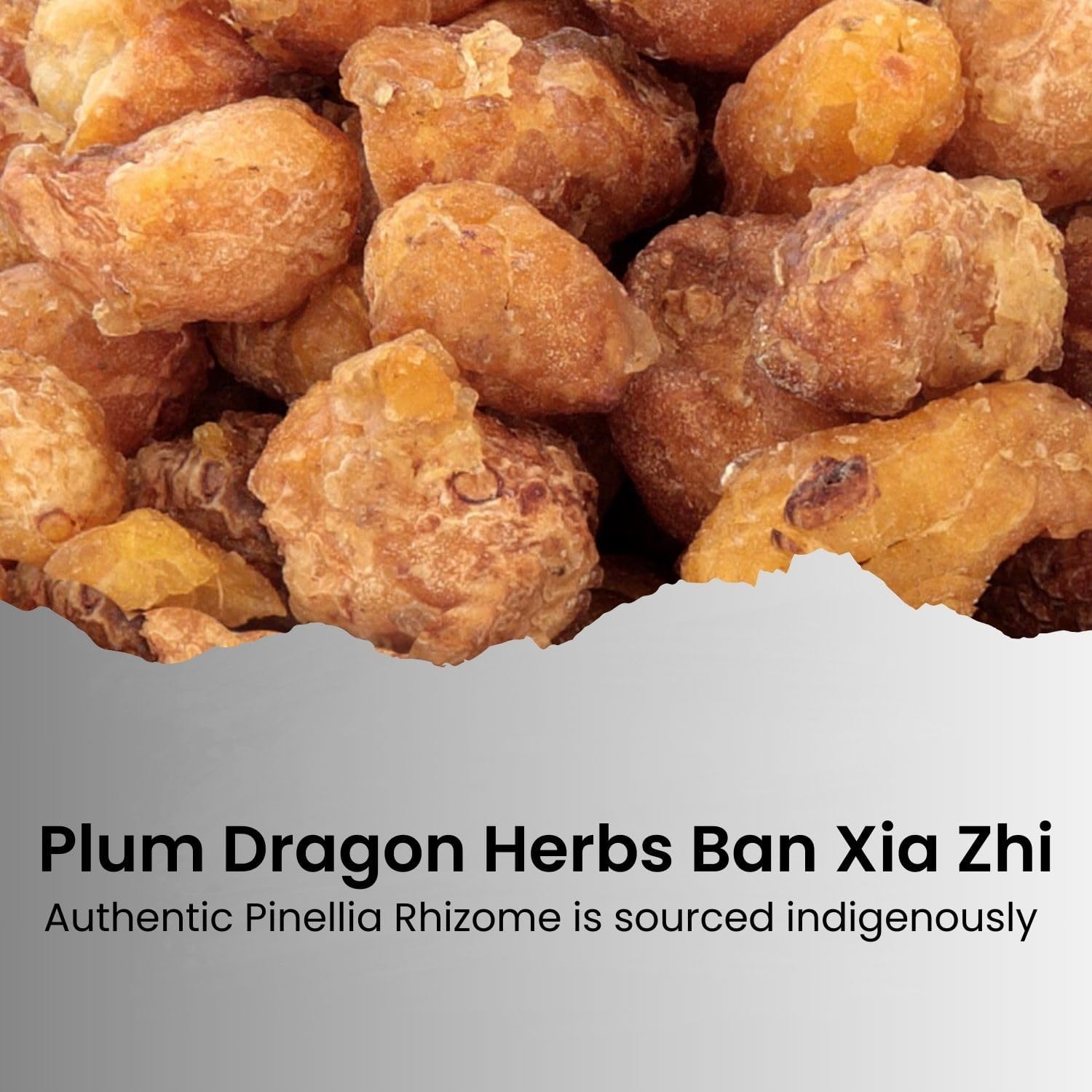 Ban Xia Zhi Chinese Herb | Pinellia Rhizom Chinese Herb (1 Lb)