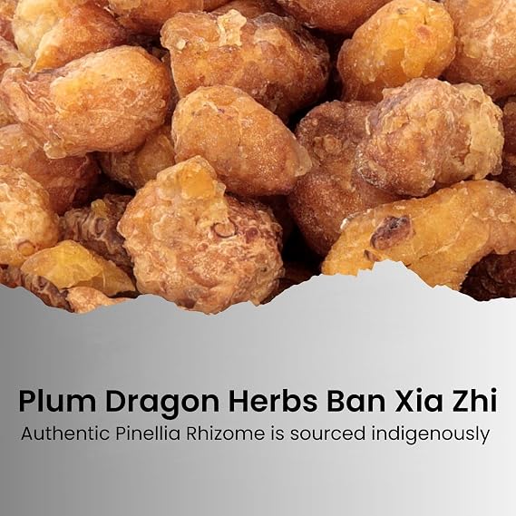 Plum Dragon Herbs Ban Xia Zhi Chinese Herb | Pinellia Rhizome Herbs, Bulk Chinese Herb (1 Oz)