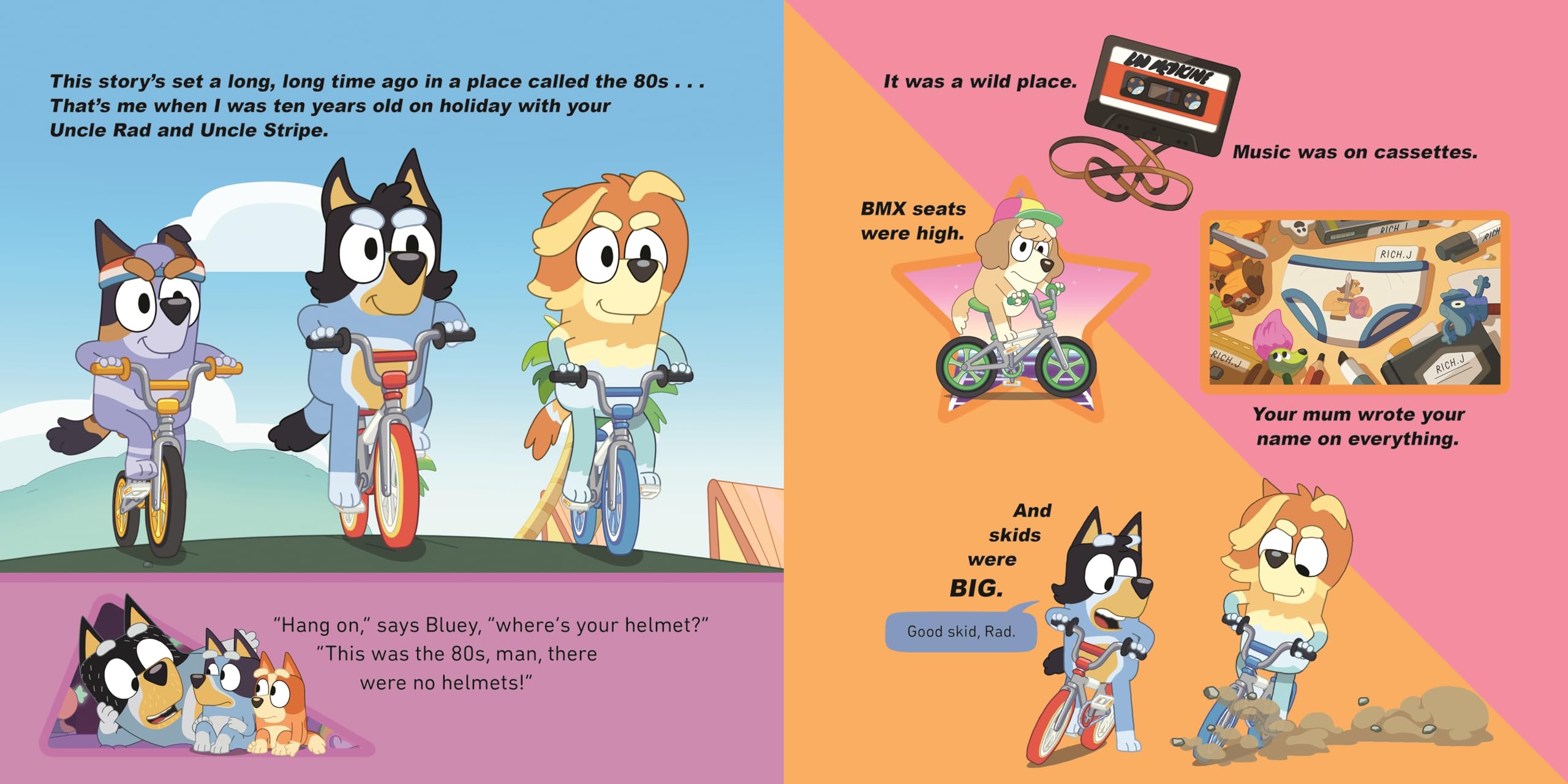Bluey: Fairytale: A for real life fairytale picture book!