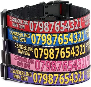 Hundehalsband mit Telefon, Adresse und Name. Personalisiertes Halsband für den Hund. Wählen Sie die Riemen- und Textfarbe (Uni) product image