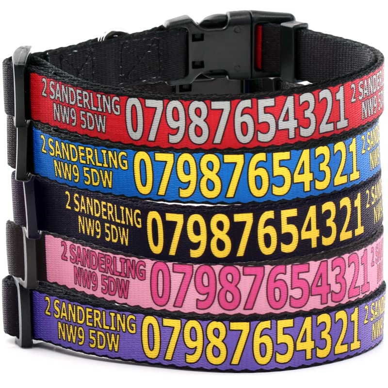 Hundehalsband mit Telefon, Adresse und Name. Personalisiertes Halsband für den Hund. Wählen Sie die Riemen- und Textfarbe (Uni)