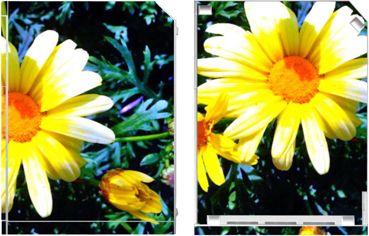 'Disagu Design Skin for Nintendo Wii stehend – Motif Flowers