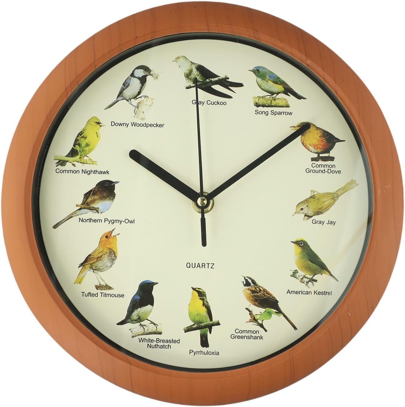 Besttoolifes Modern Bird Wall Clock With Real Bird Sounds Each Hour - Singing Birds Musical Clock For Home Wall Decor - Hanging Clock With Hourly Bird Chirp Sounding