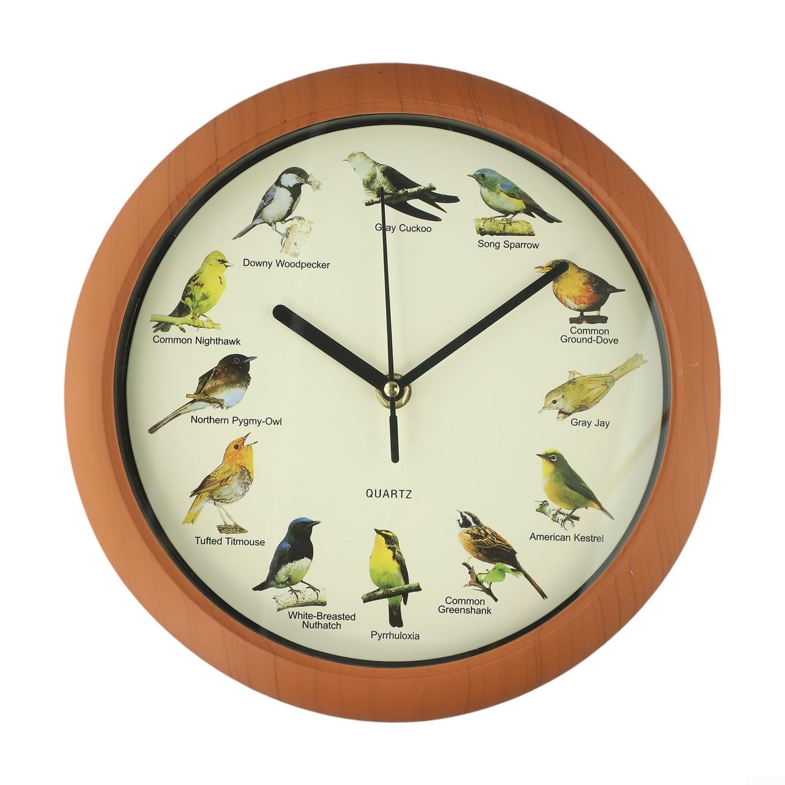 Besttoolifes Modern Bird Wall Clock With Real Bird Sounds Each Hour - Singing Birds Musical Clock For Home Wall Decor - Hanging Clock With Hourly Bird Chirp Sounding