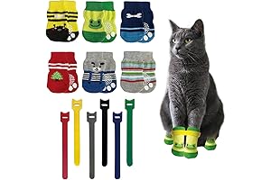 Essential Cat Shoes for Feline Comfort and Protection