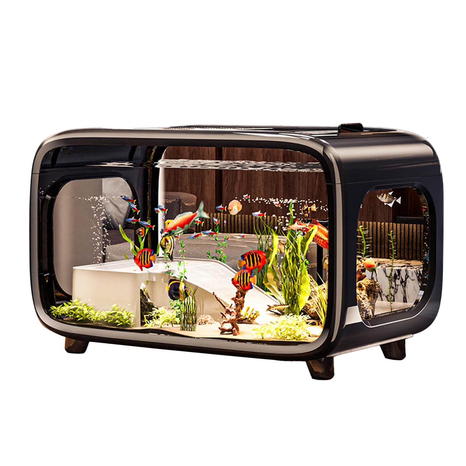 Aquarium pour Poissons | Petit Aquarium pour Les Poissons Combattants - Habitat en Acrylique Transparent avec des Crevettes des Escargots et Plantation Aquatique pour Habitat Vivant
