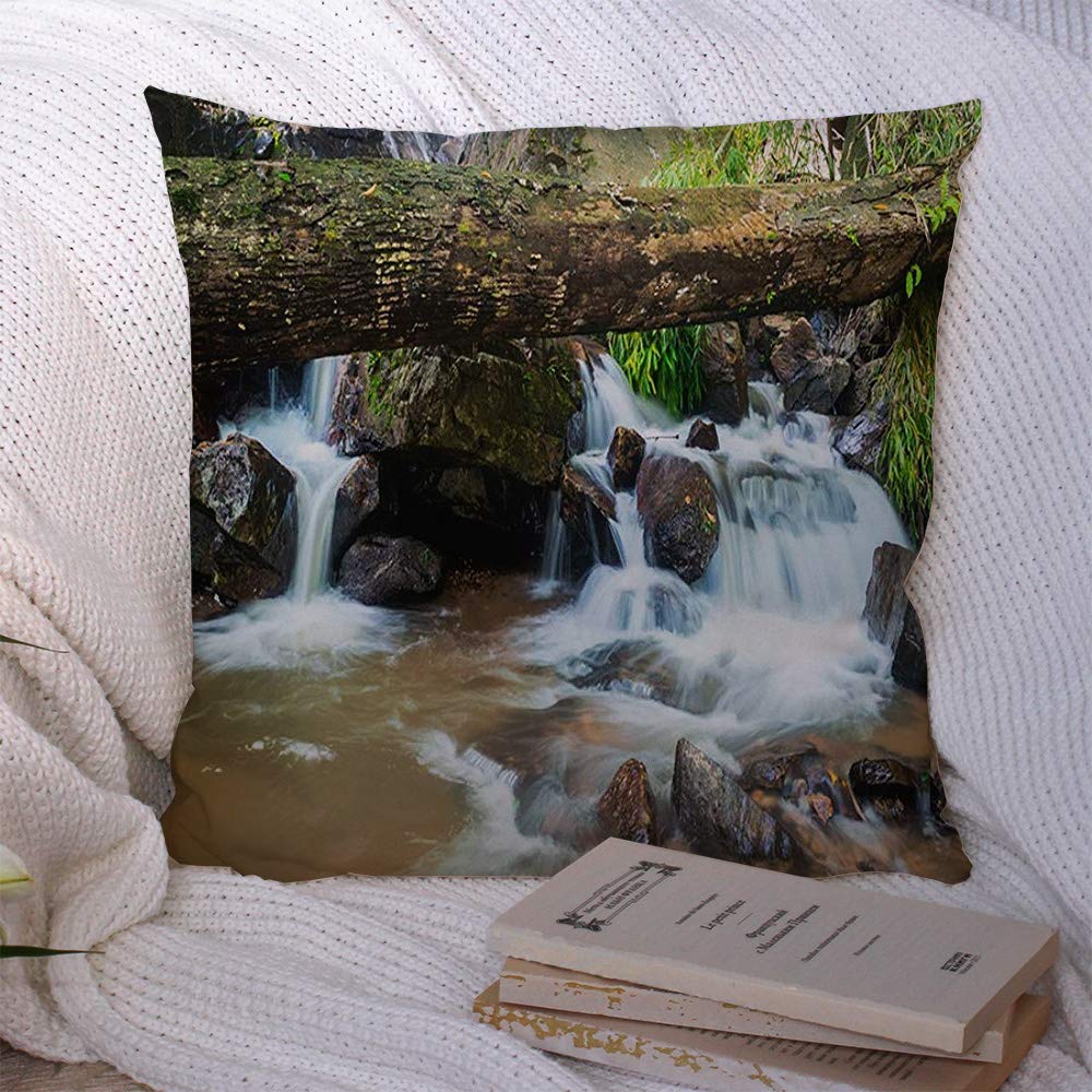 Decorative Pillow Covers Decor Square Soft Water Stone in Fall Tropical Natural Forest Pond Nobody Wood Flow Thailand Nature Parks Outdoor Throw Pillowcase Cushion Cover for Chair 18x18 Inch