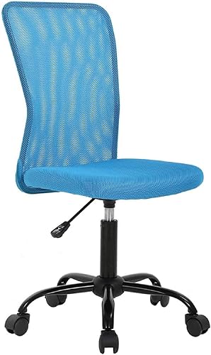 HGS Silla de trabajo ergonómica sin brazos, silla de escritorio para computadora de oficina, silla de oficina en casa con soporte lumbar, silla