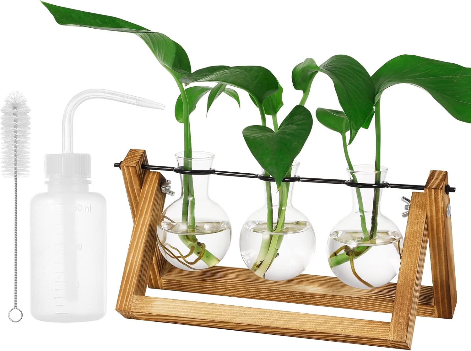 4 Hydroponik Pflanzen Röhrchen - Transparente Reagenzgläser Für Pflanzenvermehrung | Tischdekoration