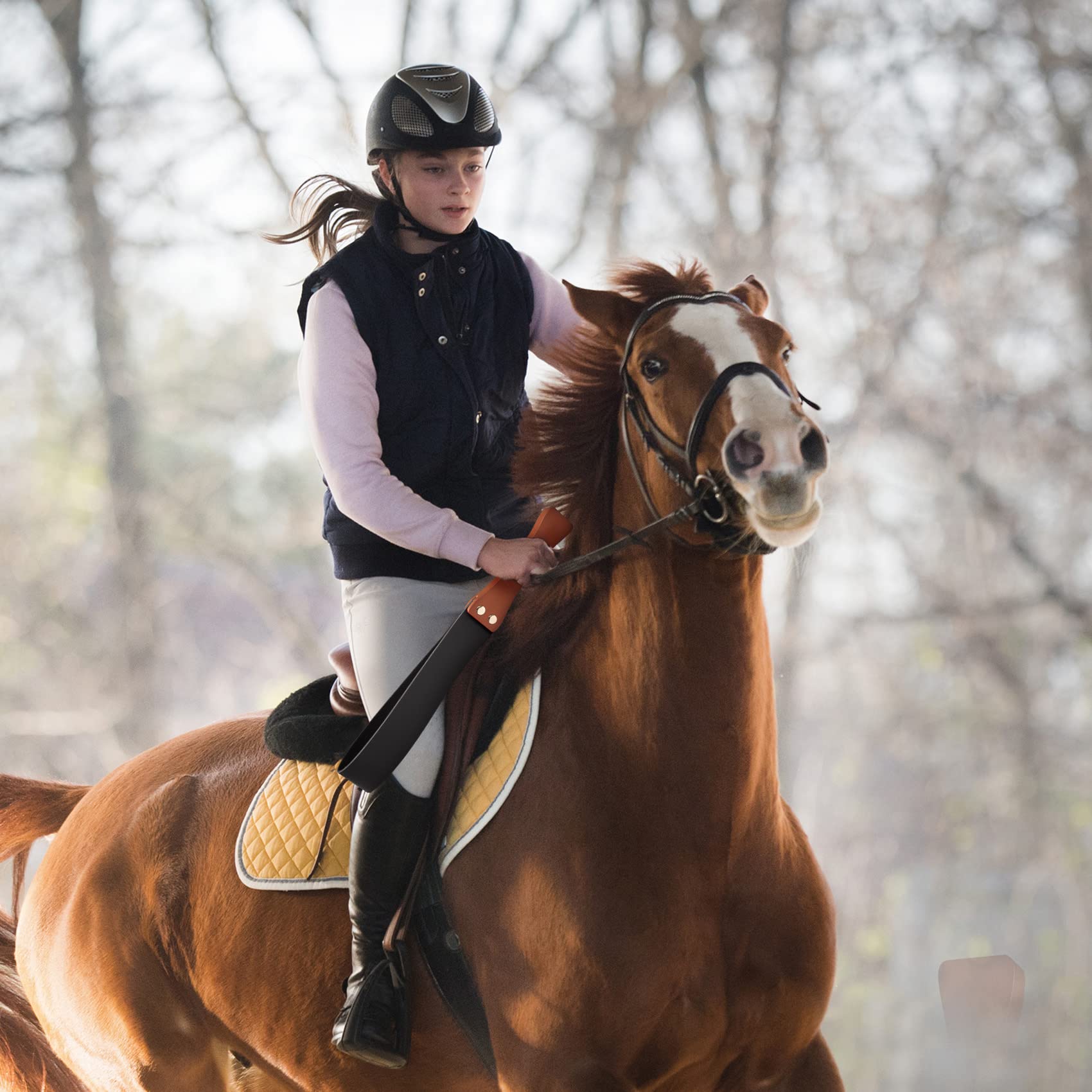 Culture d'équitation pour chevaux, 48,3 cm, avec poignée en bois antidérapante