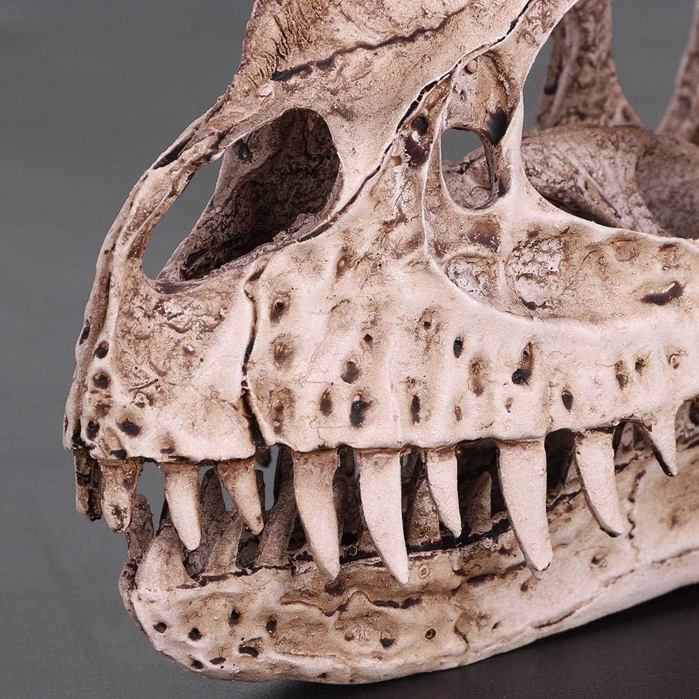 Fdit Retro Dinosaur Skull Model Replica Skeleton Figurine Collection Home Bar Party Decor