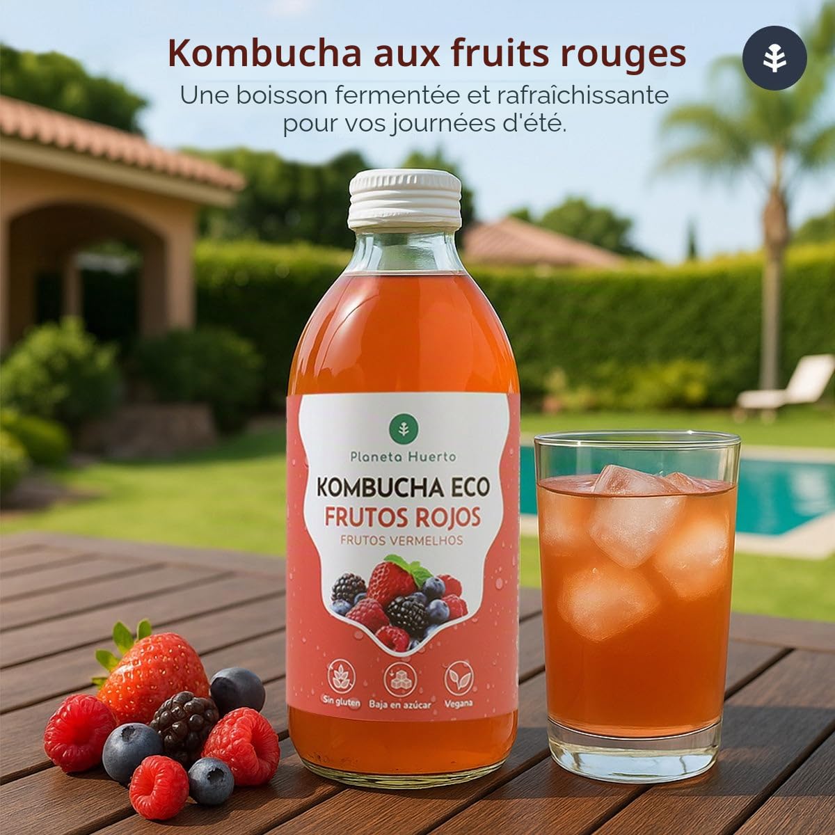 PLANETA HUERTO | Lot de 6x Kombucha ECO Fruits Rouges 330 ml | Fermentation Naturelle | Probiotiques pour le Système Digestif