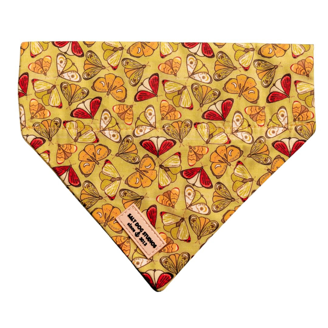 Salt Dog Studios Dog Bandana - Slip-On Dog Collar Bandana, Soft Cotton Dog Scarf for Small, Medium and Large Dogs, 19 (Green Butterfly, Large) — image 1