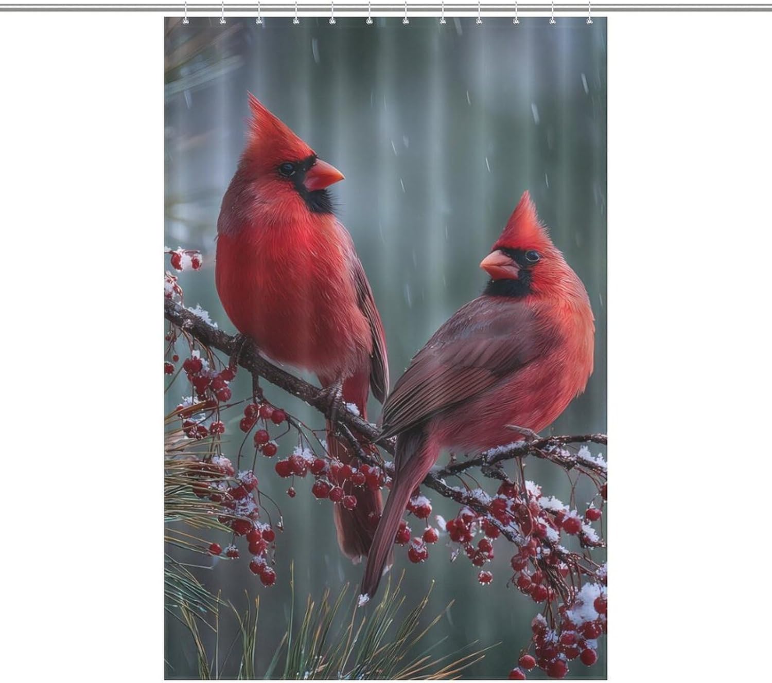 Merry Christmas Cardinal Bird Shower Curtain 46.85x70.87Inch（119x180cm） Polyester Bath Curtain Shower Curtains Printed Decorative