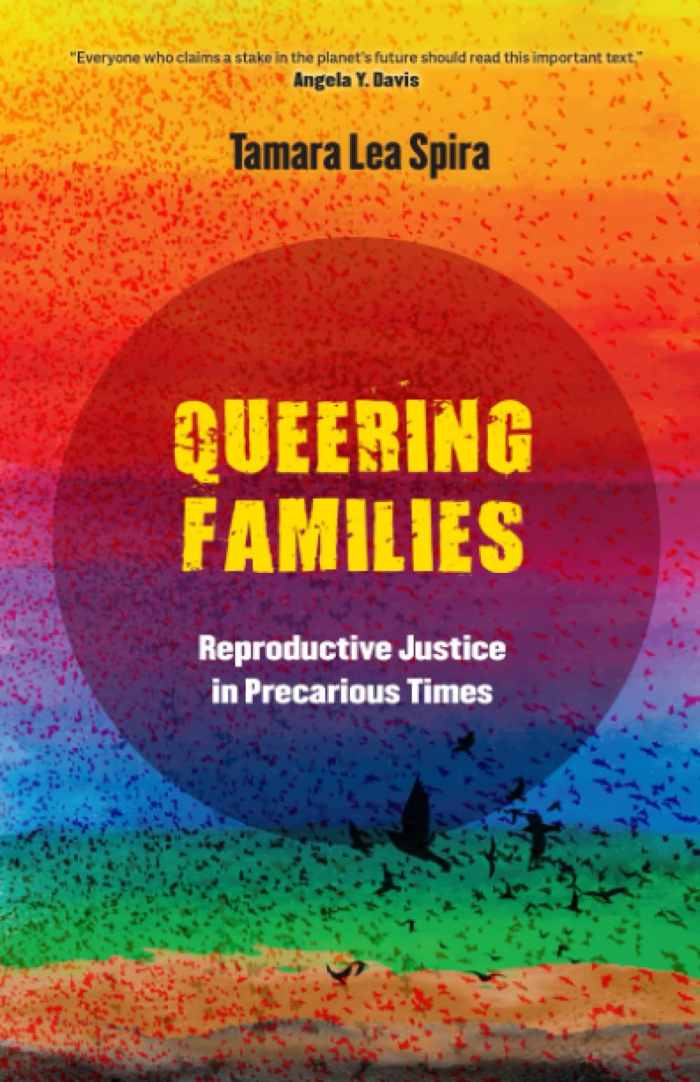 Queering Families: Reproductive Justice in Precarious Times: 12 (Reproductive Justice: A New Vision for the 21st Century)