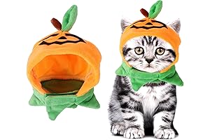 Cute Pumpkin Kitty Costume for Cats and Small Dogs