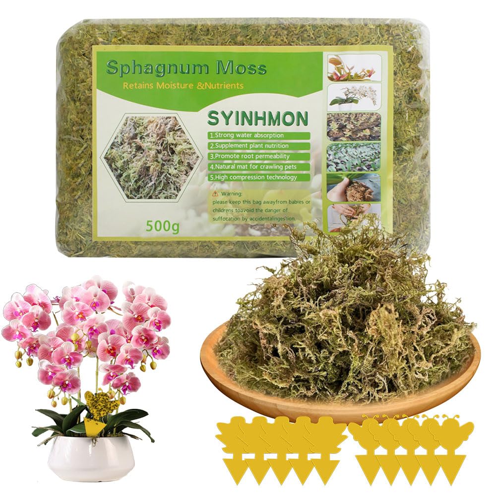 500 g muschio per orchidee, muschio sfagno, sphagnum moss con 10 trappole mosche, substrato per orchidee, emendamento del suolo di giardinaggio e mezzi di terreno per piante carnivore