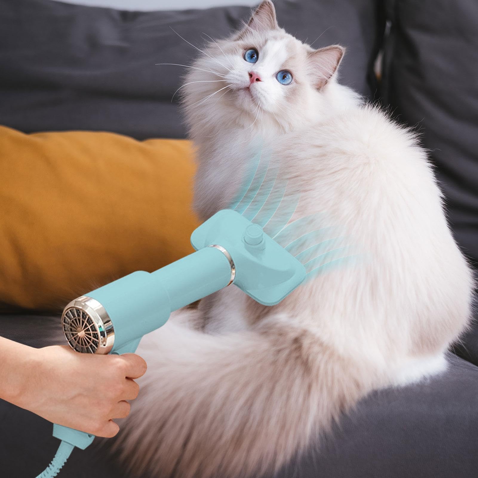Sèche-cheveux pour chien – Sèche-poils de chat, toilettage pour animaux